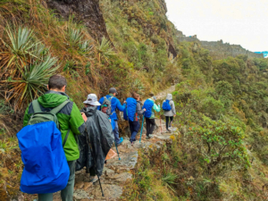 camino inca cusco peru